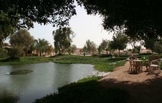 Fischfarm El Gouna